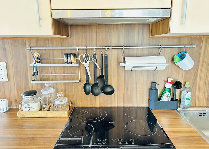 Merland Premium Penthouse - Lakeview 希欧福克